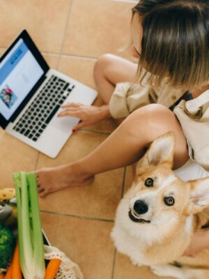 A Cute Dog Looking Up while Sitting Beside a Person Using Laptop